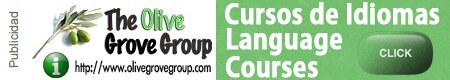 Olive Group - Clases de inglés